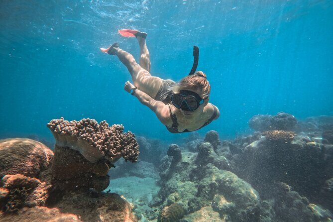 Explore Green Island with Diving options from Cairns - FAQ