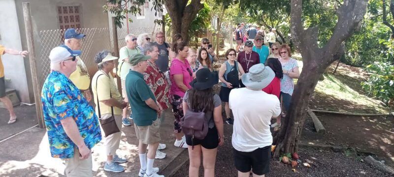 Explore Grenada's Magic: Private Spice Island Tour - The Itinerary in Detail