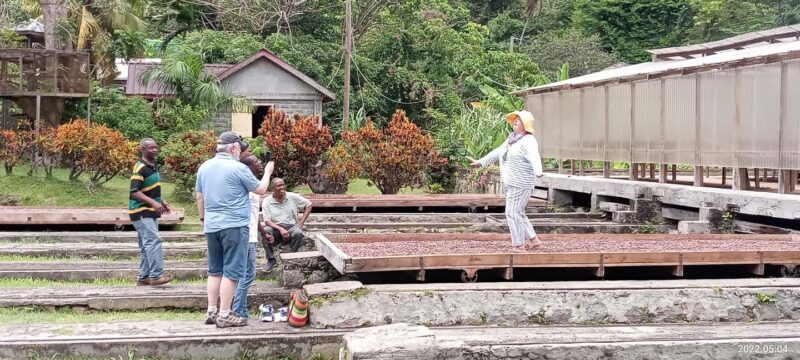 Explore Grenada's Magic: Private Spice Island Tour - Practical Tips for Travelers