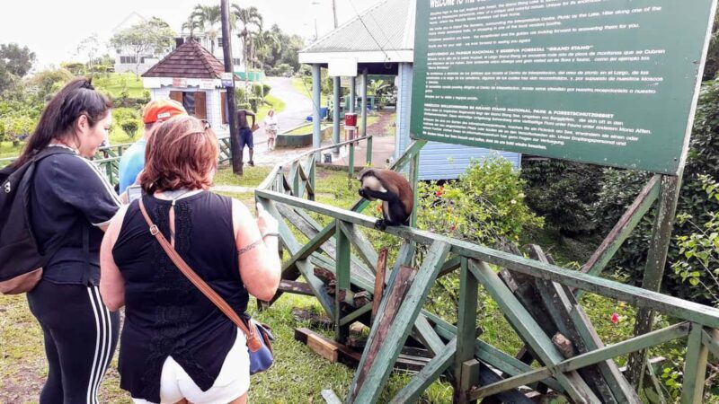 Explore Grenada's Magic: Private Spice Island Tour - Frequently Asked Questions