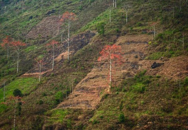 Explore Ha Giang Loop With 2 Days and 1 Night - Important Travel Tips