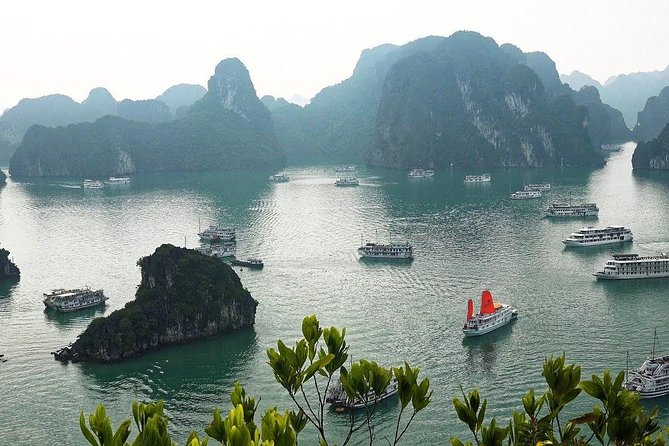 Explore Ha Long Bay Beauty 2 Days 1 Night - Booking and Flexibility
