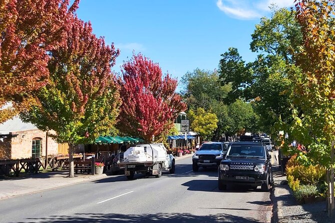 Explore Hahndorf & Barossa Valley (Including Lunch and Wineries) - Wineries