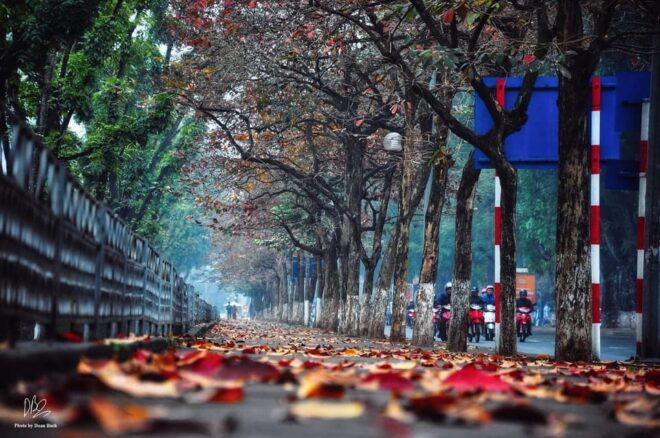 Explore Hanoi - Home To Ancient Vietnamese Culture Full Day - Local Experiences