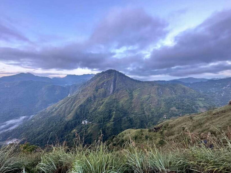 Explore hidden gems in Ella by Tuk Tuk - Who Will Love This Tour?