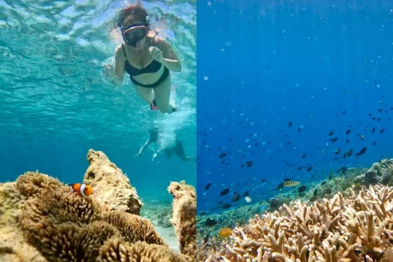 Explore Hidden Gili's Lombok : Gili Asahan,Gede,Goleng,Layar - Final Thoughts: Is This Tour Worth It?