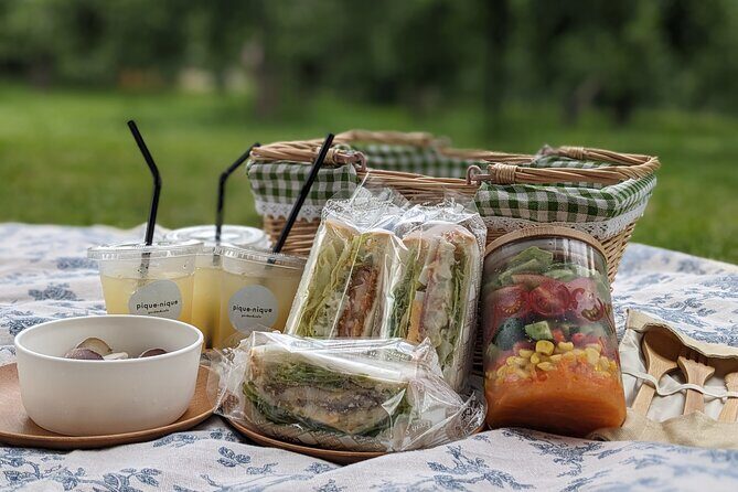 Explore Hidden Japan: Obuse Bike Tour & Orchard Picnic - Who Is This Tour Best For?