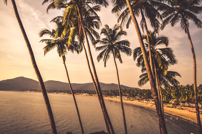 Explore Highlights of North Goa With Divar Island (Guided Full Day Tour by Car) - Pricing Information
