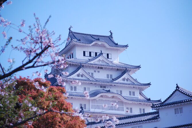 Explore Himeji Castle a Guided Walking Tour - What Makes This Tour Stand Out  