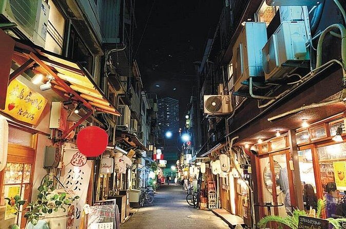 Explore Hiroshima Hidden Izakayas with a Local Buddy - Who Will Love This Tour?