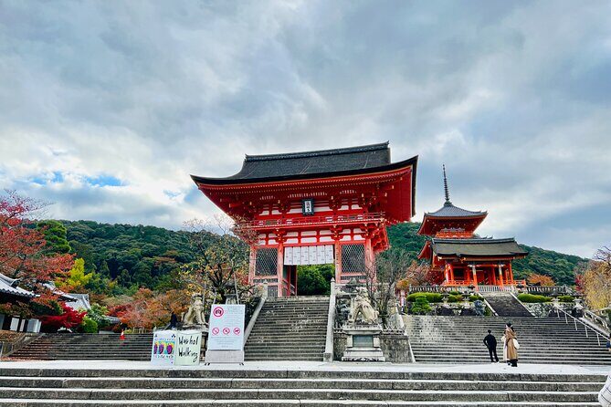 Explore History and Culture in Kyoto - A Walk Through Kyoto’s Heart: What to Expect