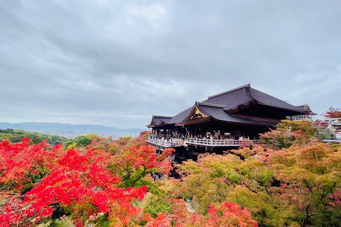 Explore History and Culture in Kyoto - Final Thoughts: Is This Tour Right for You?