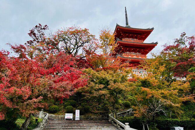 Explore History and Culture in Kyoto - FAQ