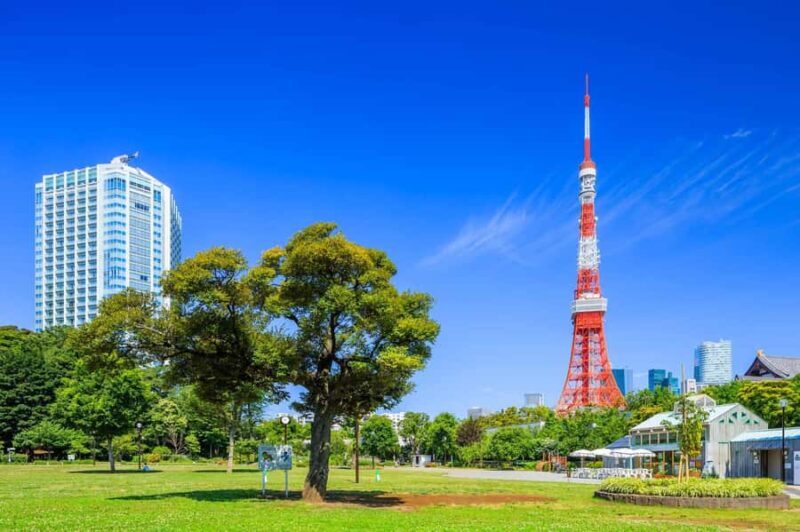 Explore History & Nature: Kamiyacho to Tokyo Tower - Good To Know