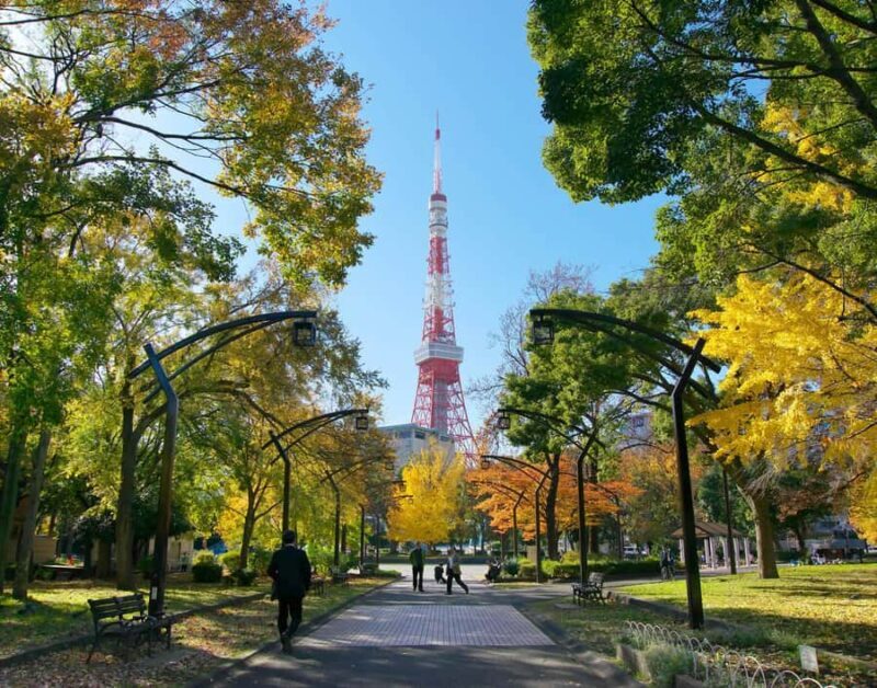 Explore History & Nature: Kamiyacho to Tokyo Tower - The Iconic Tokyo Tower