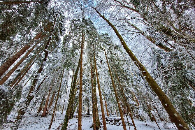 Explore Hitlers Mountain World War II Tour - Final Thoughts