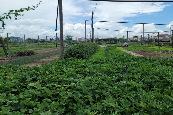 Explore Hoi an Ancient Town and Local Villages With a Local Guide - Highlights of Ancient Town