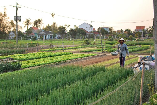 Explore Hoi an City or Da Nang City With Local Guide - Insider Tips for Exploring Hoi An and Da Nang