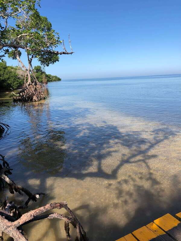 Explore Holbox Island VIP - 4 Points + Guacamole - The Experience: What you can expect