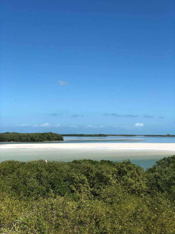 Explore Holbox Island VIP - 4 Points + Guacamole - Who should consider this tour?