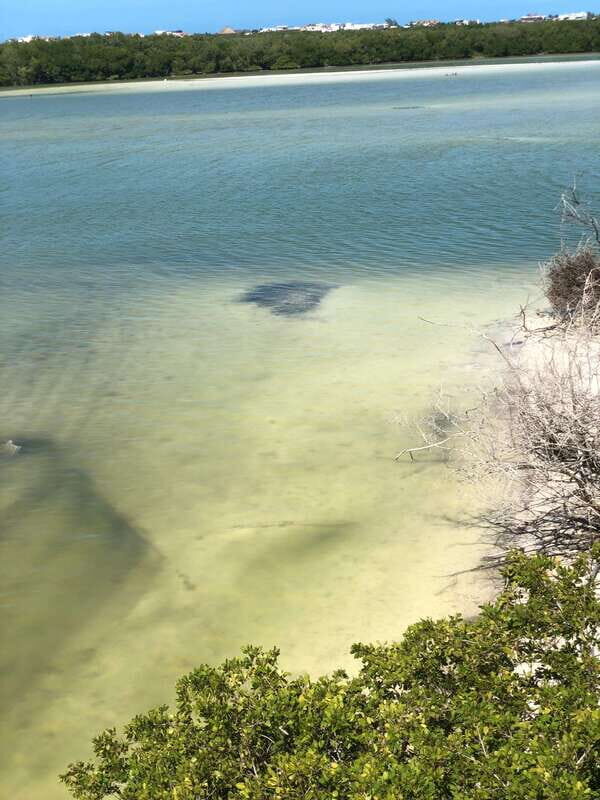 Explore Holbox Island VIP - 4 Points + Guacamole - Final thoughts: Should you book this tour?