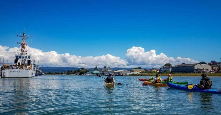 Explore Humboldt Bay by Kayak - Pricing and Booking