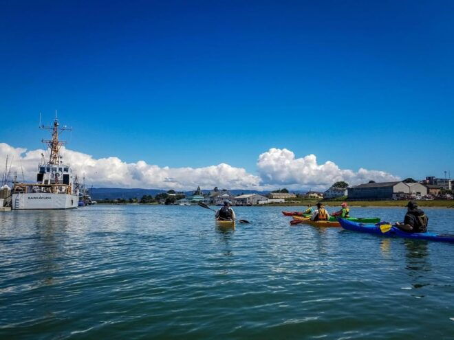 Explore Humboldt Bay by Kayak - Experience Highlights