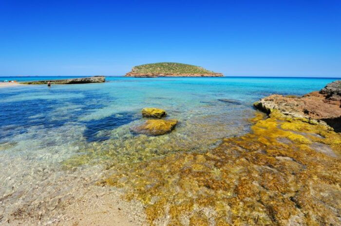 Explore Ibizas Hidden Coves: No-License Boat Rental - Customer Feedback and Recommendations