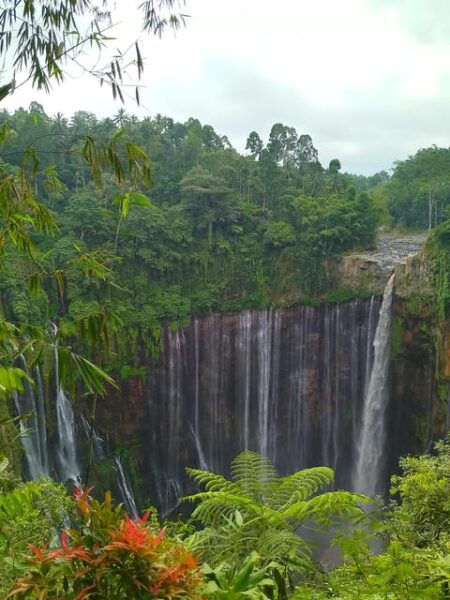 Explore Ijen Bromo Tumpak Sewu 4 Days - Prohibited Items and Regulations