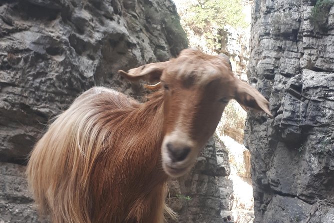 Explore IMBROS GORGE. - Imbros Gorge: Hiking Essentials
