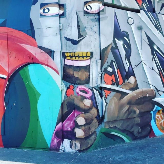 Explore in the Vibrant Art Scene of Wynwood Art Private Tour - Tour Experience