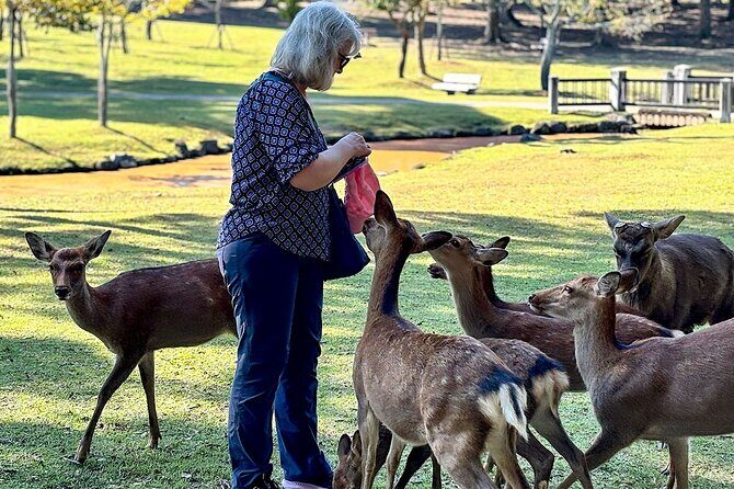 Explore Japan 10 Day Mini Group Tour from Tokyo Max of 6 people - FAQ