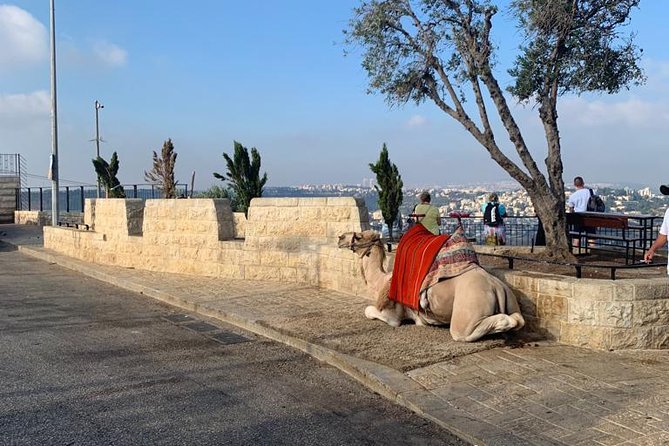 Explore Jerusalems Old City - Price and Booking Details