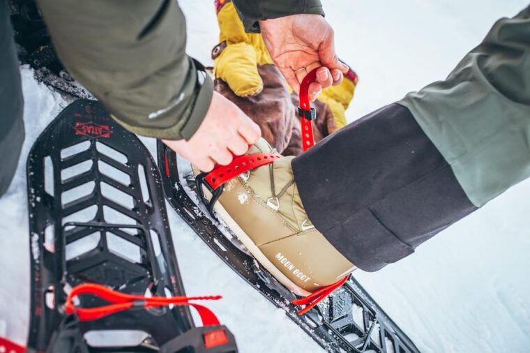 Explore Jotunheimen - 2 Days with Snowshoeing and Snowcoach - Practical Details and Considerations