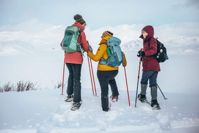 Explore Jotunheimen - 2 Days with Snowshoeing and Snowcoach - Final Thoughts: Who Is This Tour Best For?