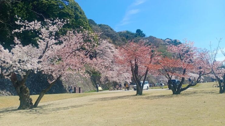 Explore Kanazawa in Three Hours - Good To Know