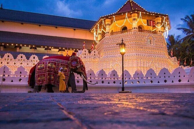 Explore Kandy Day Tour - Good To Know