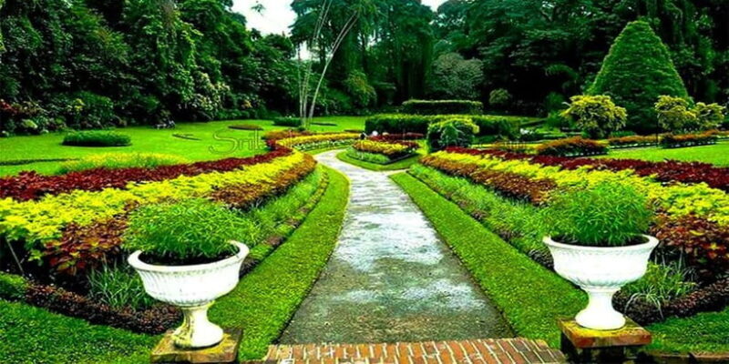 Explore Kandy & Nuwara Eliya in 2 days - Visiting Waterfalls: Devon & St. Clare