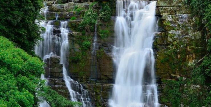 Explore Kandy & Nuwara Eliya in 2 Days - Experience Nuwara Eliyas Charm