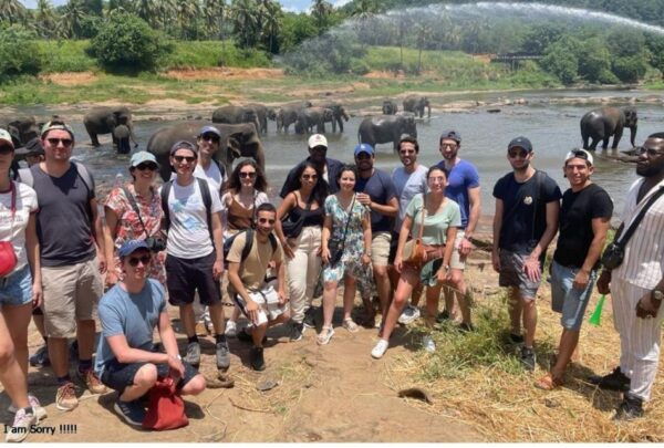 Explore Kandy, Pinnawala, and Tea Plantation From Kandy - Free Cancellation and Reserve Now, Pay Later Option