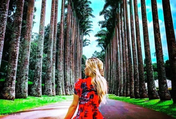 Explore Kandy, Pinnawala, and Tea Plantation From Kandy - Common Questions