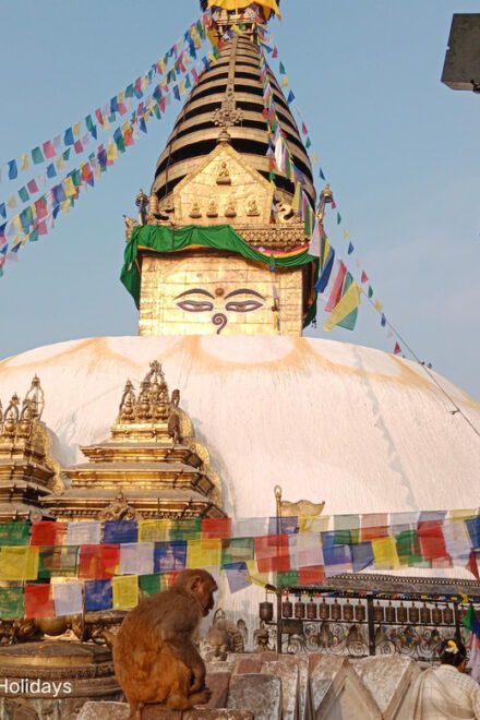 Explore Kathmandu: 4 Heritage Private Tour With Wine Tasting - Inclusions
