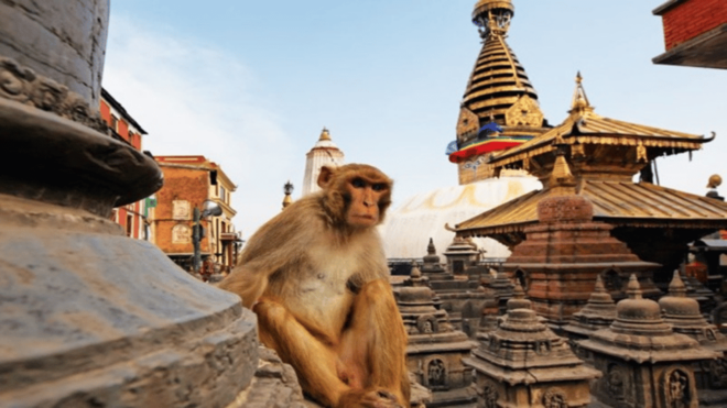 Explore Kathmandu: Chandragiri Cable Car and Monkey Temple - Preparation Tips