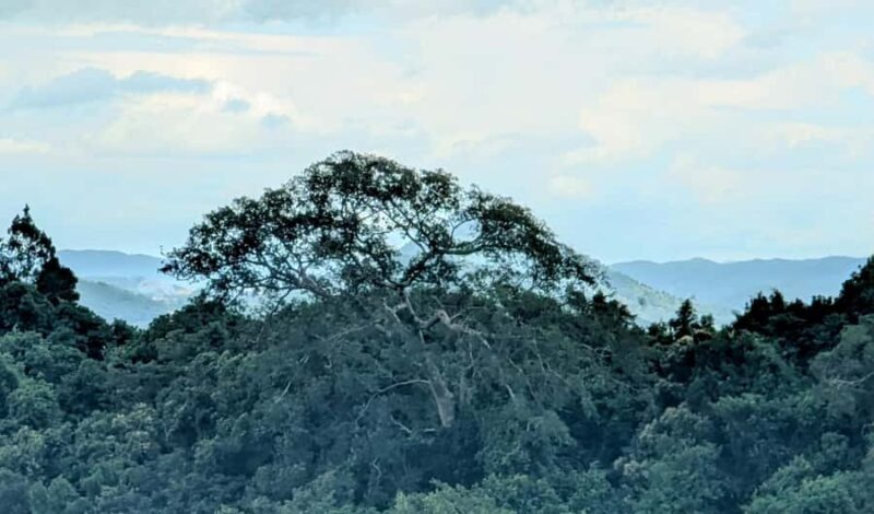 Explore Kep town & the national park hiking include lunch - Practical Tips for Travelers