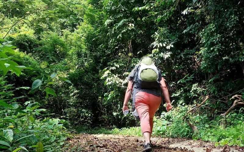 Explore Kep town & the national park hiking include lunch - Who This Tour Is Best For