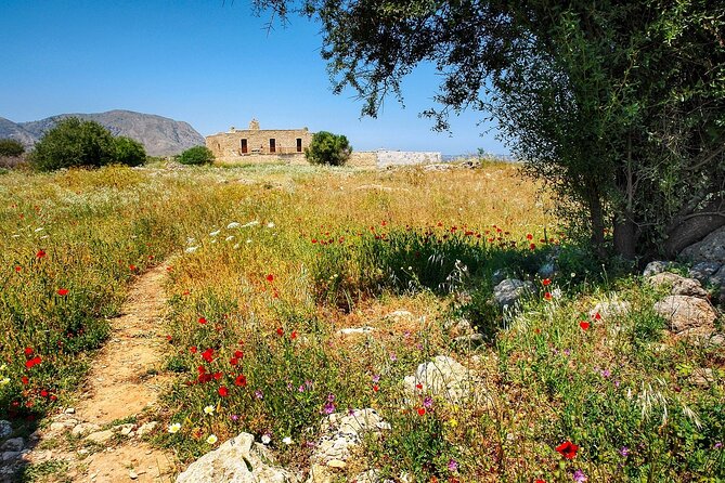 Explore Knossos and Free Time in Heraklion City - Crete - Heraklion City Exploration
