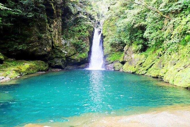 Explore Kochi: private tour by Car with licensed guide - Stop 3: Hirome Market