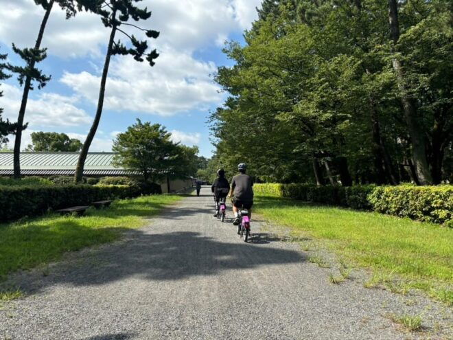 Explore Kyoto: E-Bike Adventures Through Timeless Beauty - Safety and Meeting Guidelines
