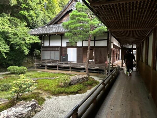 Explore Kyoto: E-Bike Adventures Through Timeless Beauty - Tips for a Memorable Ride