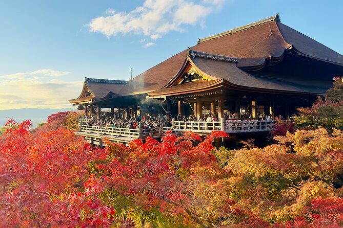 Explore Kyoto in Style: Temples, Shrines & Cultural Highlights - Good To Know